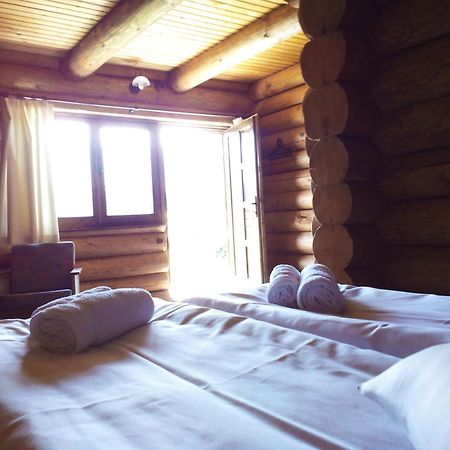 Sîmbăta de Sus Casa Muntelui - Sambata旅馆 外观 照片