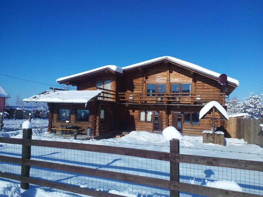 Sîmbăta de Sus Casa Muntelui - Sambata旅馆 外观 照片