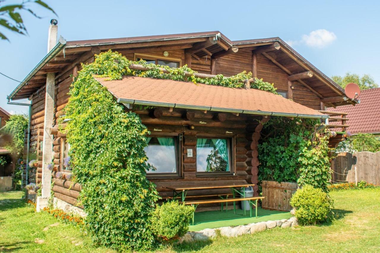Sîmbăta de Sus Casa Muntelui - Sambata旅馆 外观 照片